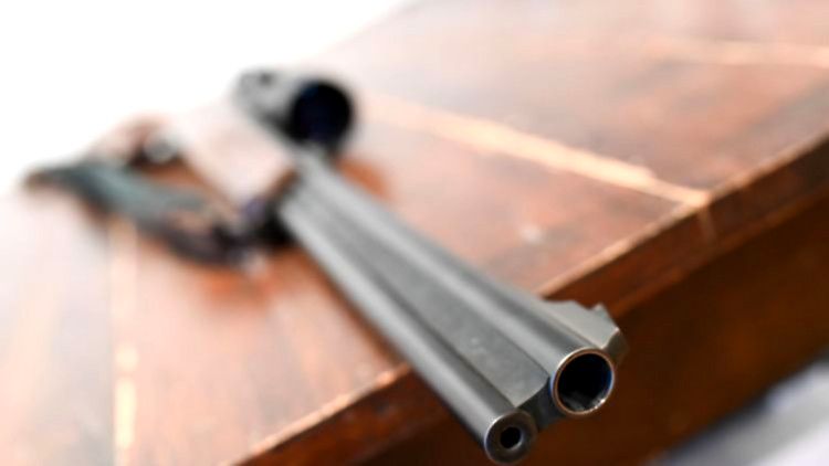 Mehr Waffen in Sachsen-Anhalt registriert.
